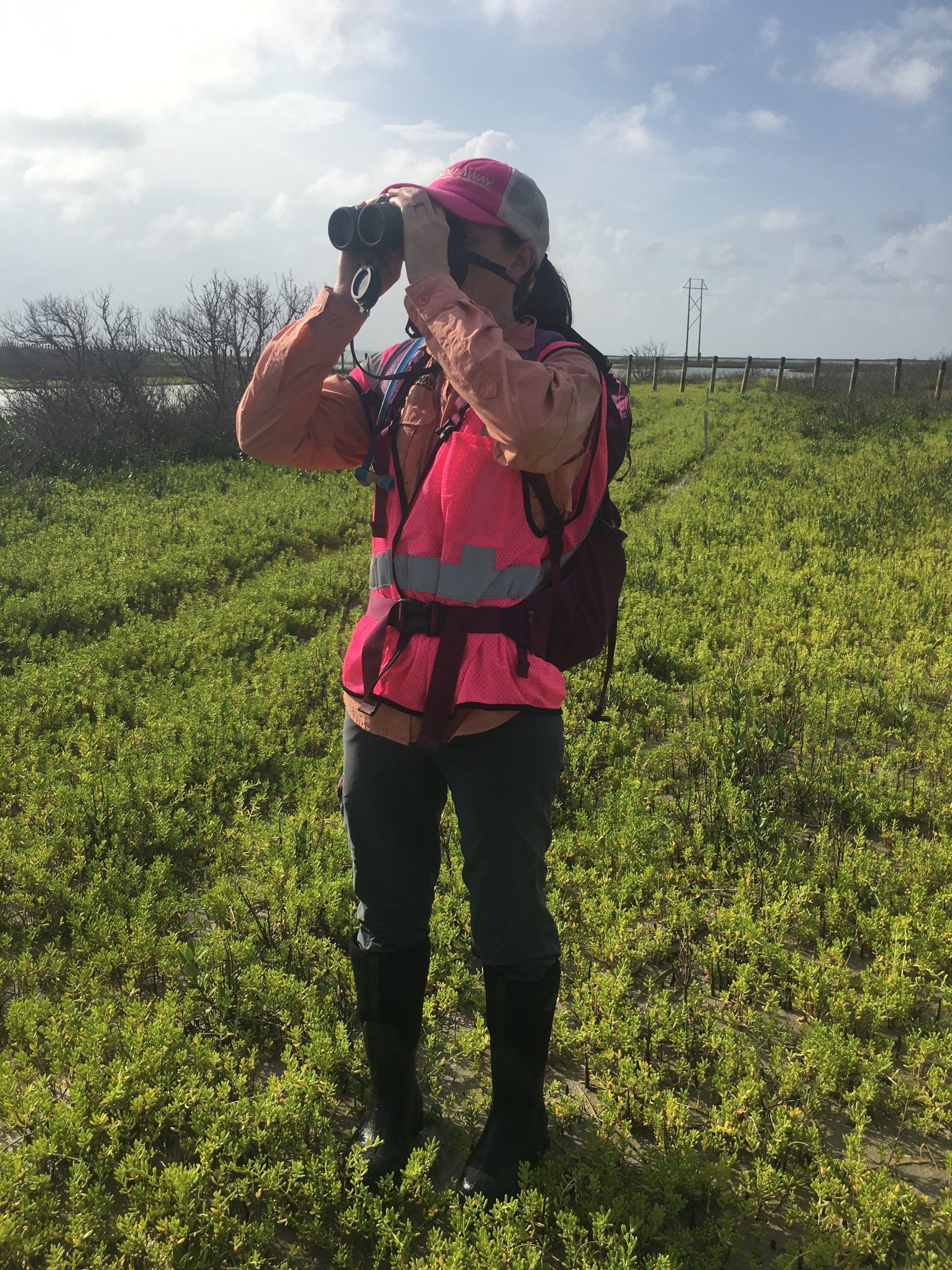 Navigating Environmental Clearance