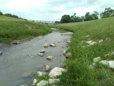 Halls Bayou Watershed