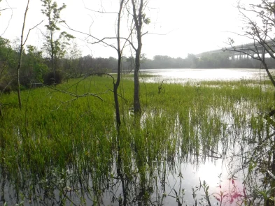 SH 99 Cedar Bayou SH 99 Cedar Bayou