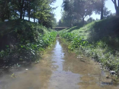 Halls Bayou Watershed