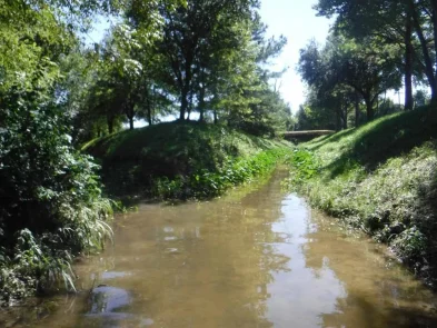 Halls Bayou Watershed