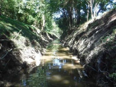 Halls Bayou Watershed