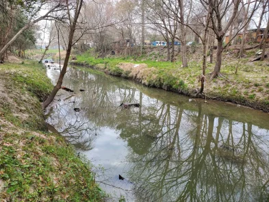 Halls Bayou Watershed