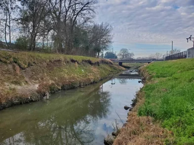 Halls Bayou Watershed